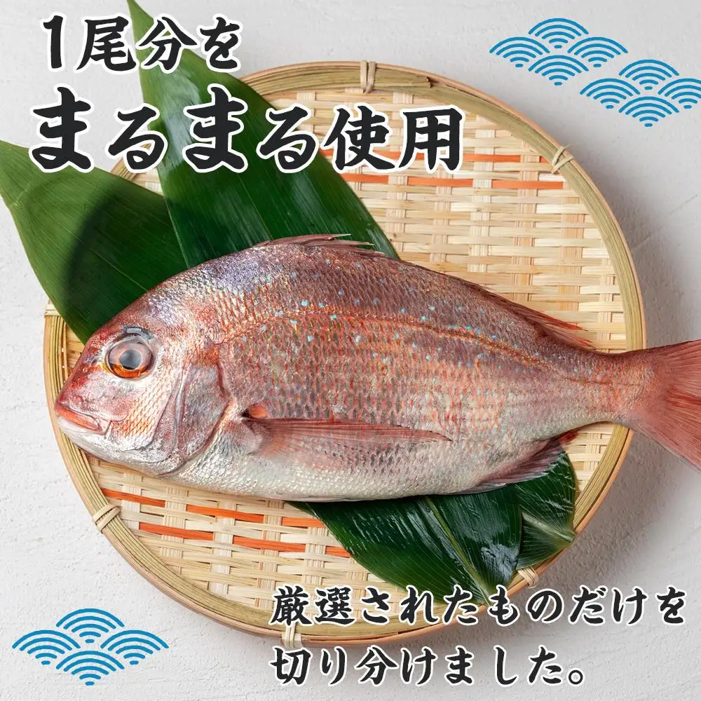 【お歳暮・贈答用・のし付き】天然鳴門鯛鯛しゃぶセット（3～4人前）【日本ギフト大賞2016徳島賞】
