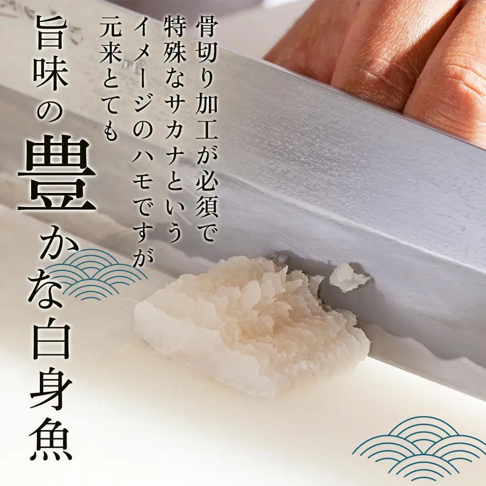 【お歳暮・贈答用・のし付き】天然鱧鱧鍋セット（3～4人前）【漁獲量全国トップクラス】