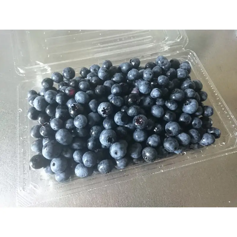 【数量限定100】国産 京都丹後ブルーベリー 350g×2パック（2027年7月上旬～発送）｜ベリー