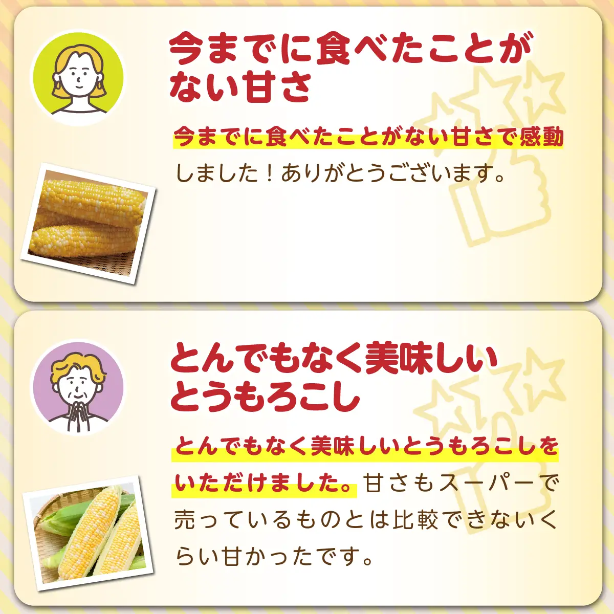 【ふるなびWEEK対象】＜2026年8月上旬よりお届け＞北海道壮瞥産 とうもろこし（スイートコーン）13本 約5kg SBTN001