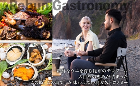 【ふるさと納税限定】北海道 礼文町 旅行Webカタログ 旅行クーポン 60,000円分 ［JTA株式会社］【 旅行 トラベル クーポン カタログギフト 宿泊券 観光 体験 アクティビティ 礼文島 ツアー 】