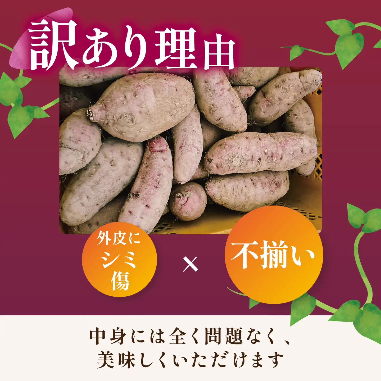 さつまいも 熟成 紅はるか 訳あり 10kg