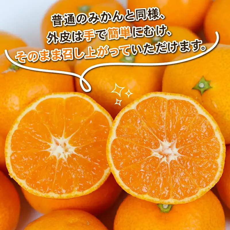 愛媛みかん 石地みかん 約5kg S~L サイズ Shirai.agrifarm 先行予約 中生 なかて 愛媛ミカン 愛媛蜜柑 mikan 温州 温州みかん 不揃い 果物 くだもの フルーツ 柑橘 蜜柑 産地直送 農家直送 数量限定 国産 愛媛 宇和島 B010-115003