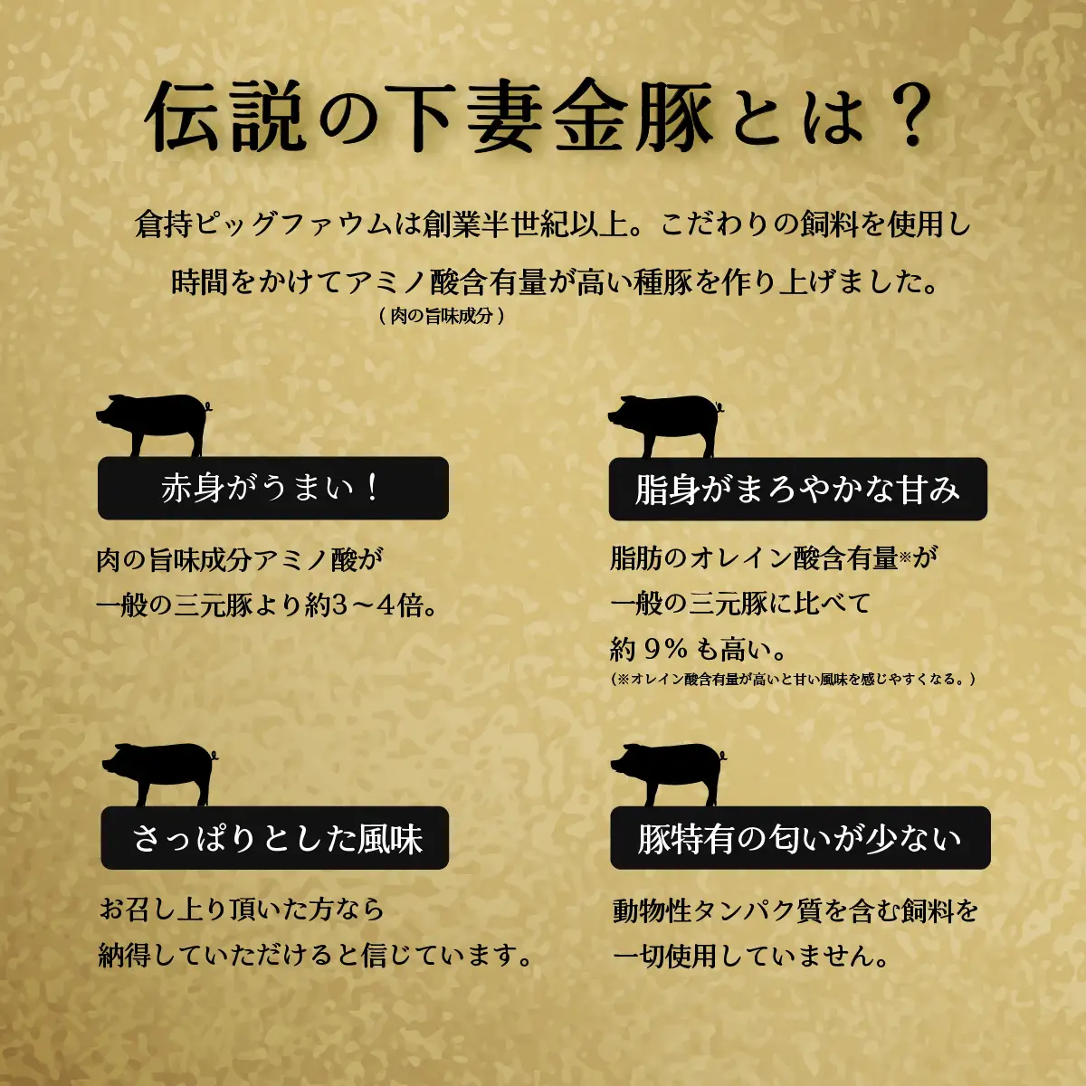 カレー 下妻金豚 使用 200g×8 辛口 【カレー】