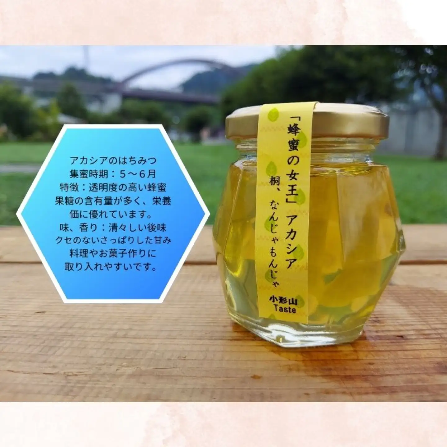 日本みつばちの蜂蜜＋西洋みつばちの蜂蜜食べ比べ4種セット 100ｇ×４　ハチミツ　はちみつ　ミツバチ　食べ比べ　ハチミツセット　パン　ヨーグルト