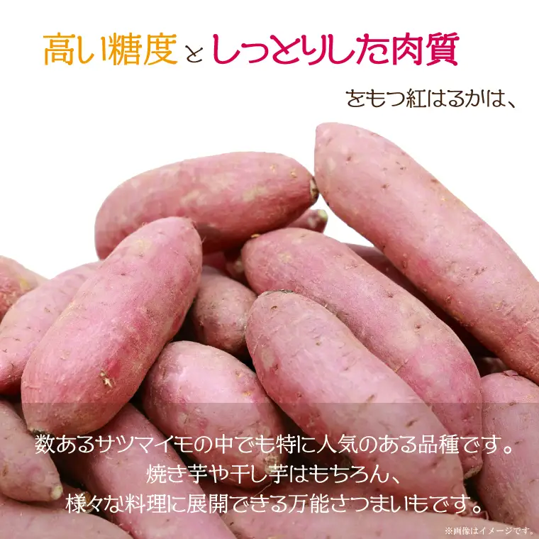 【2027年1月より順次発送】農産物直売所「やさいの声」　先行予約　さつまいも　紅はるか　熟成　洗い　約3kg(EK-11)