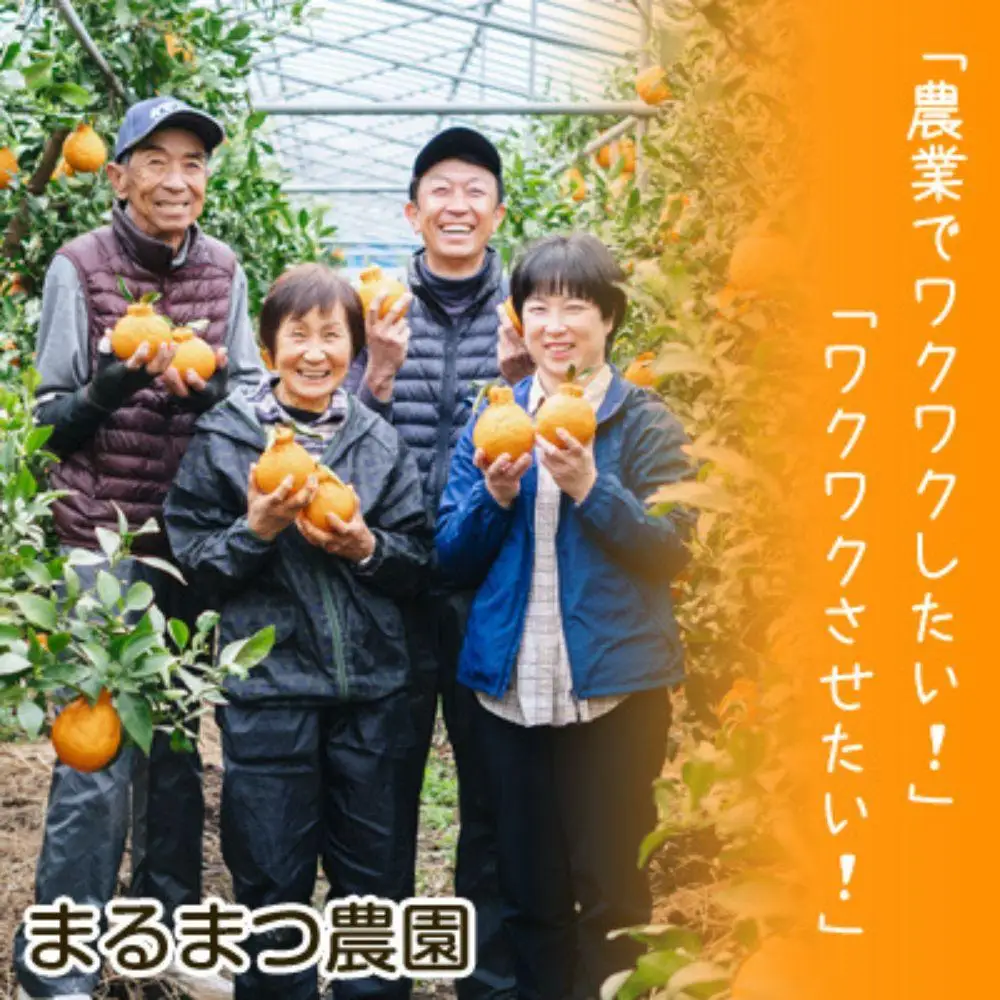 長期熟成しらぬい 約5kg 濃厚なコクと甘さ 農家直送 和歌山県産 【2027年5月～6月発送】