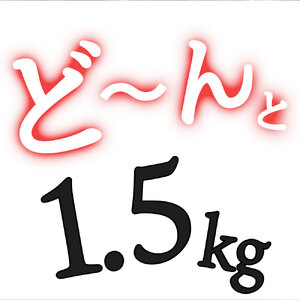チョリソーソーセージ