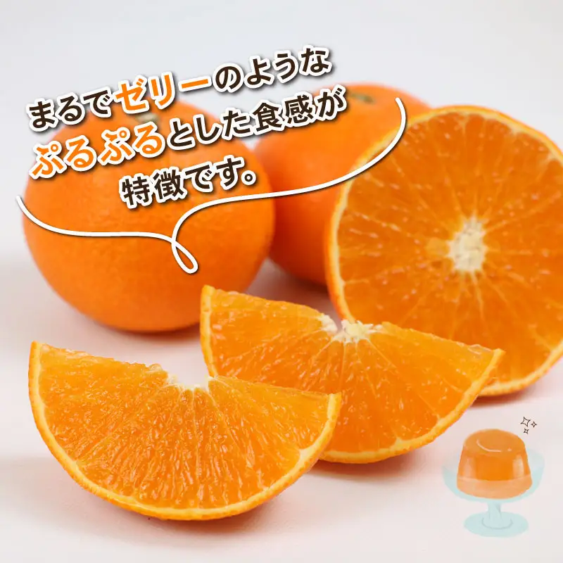 【紅まどんなと同品種】 愛果28号 約4kg L~3L サイズ Shirai.agrifarm 先行予約 まどんな B020-115004