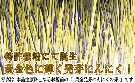 黄金発芽にんにく スプラウト パウダー サプリメント W特許 有機JAS認定肥料【 1袋 ／ 約31日分 93粒 】 加工食品 