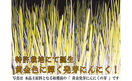 【定期便3回】黄金発芽にんにく スプラウト パウダー サプリメント W特許 有機JAS認定肥料【 1袋 ／ 約31日分 93粒 】 加工食品 