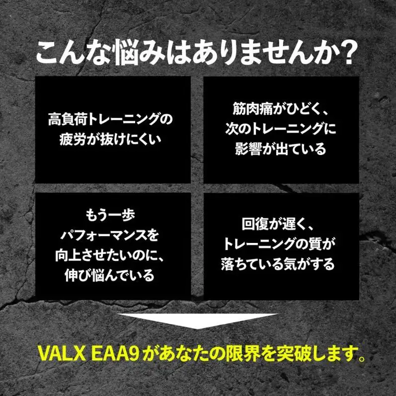 サプリ 筋トレ VALX EAA9 500g パウダー サプリ スポーツドリンク風味
