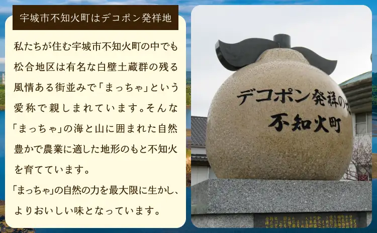 先行予約 不知火 訳あり 約5kg 約15〜20玉 雑誌MORE掲載 松川果樹園 2027年3月上旬から５月中旬発送予定