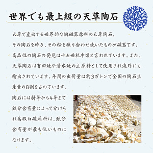 S026-161_天草 高浜焼 楕円カレー皿 4枚（青）