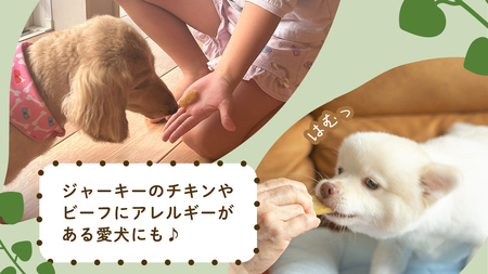 犬のおやつ 国産 干し芋 シロタ 400g (100g × 4袋) 