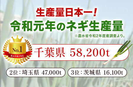 ネギイチバン 170g × 5個