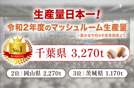 マッシュルームイチバン 110g × 5個