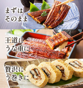 【2パック分け】鰻 国産 うなぎ かば焼き 1尾 約160g うな藤
