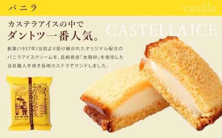 【全6回定期便】長崎カステラアイス 7種 計10個 (バニラ・抹茶・びわ・チョコ・コーヒー・苺・白玉小倉)／ 食べ比べ 冷凍 アイス カステラ スイーツ ニューヨーク堂 長崎県 長崎市