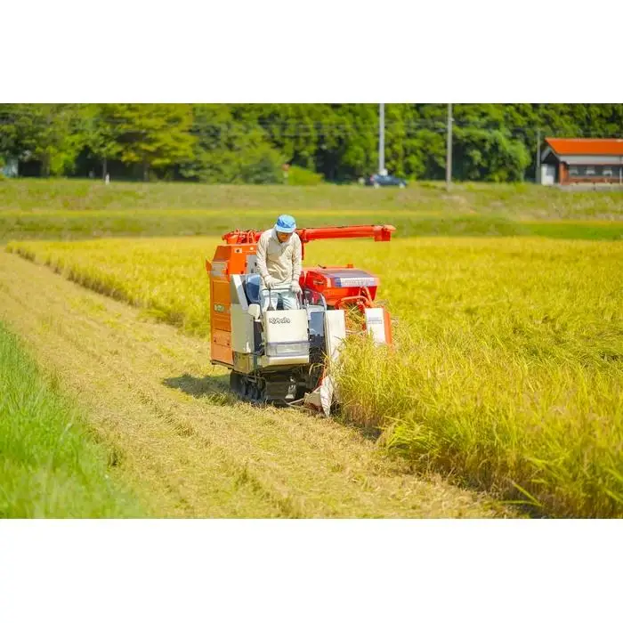 【先行予約】令和8年産 コシヒカリ 10 kg(5kg×2) 鹿野高原米 精米 5日以内発送 