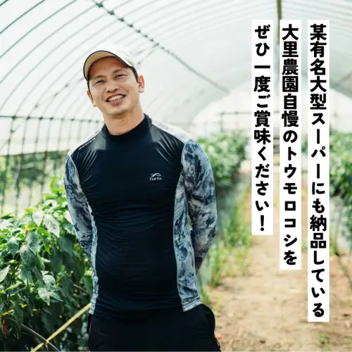 高評価★5.0 トウモロコシ ゴールドラッシュ 6kg 茨城県産 とうもろこし