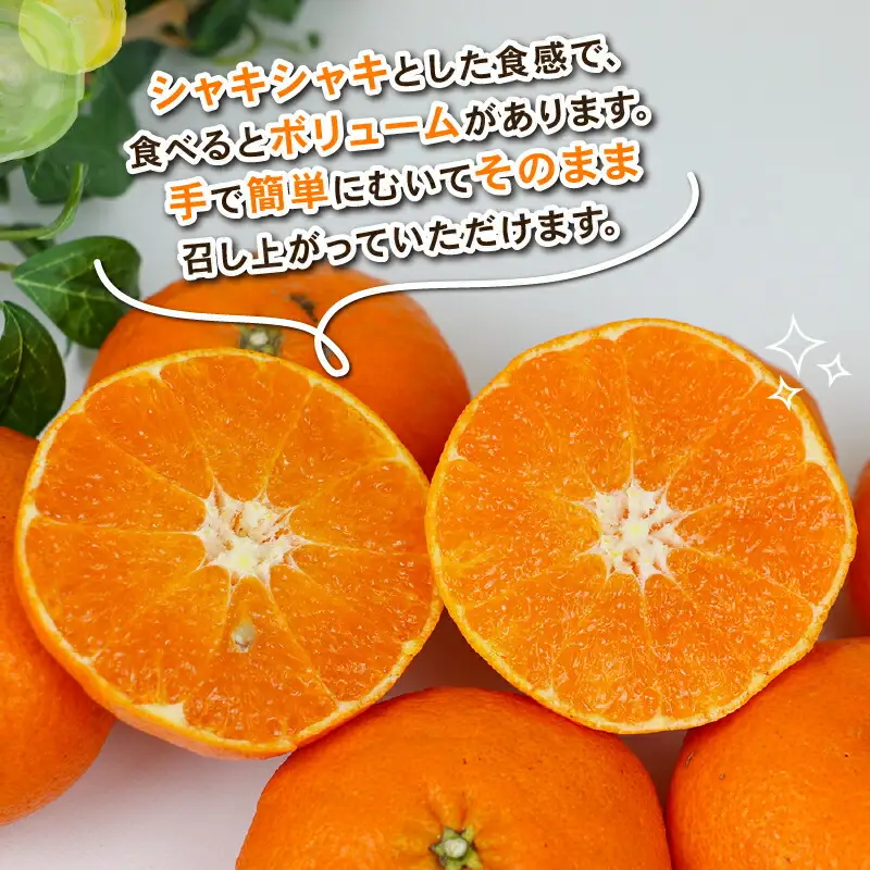 【甘平】 4kg Shirai.agrifarm 甘平 B020-115005