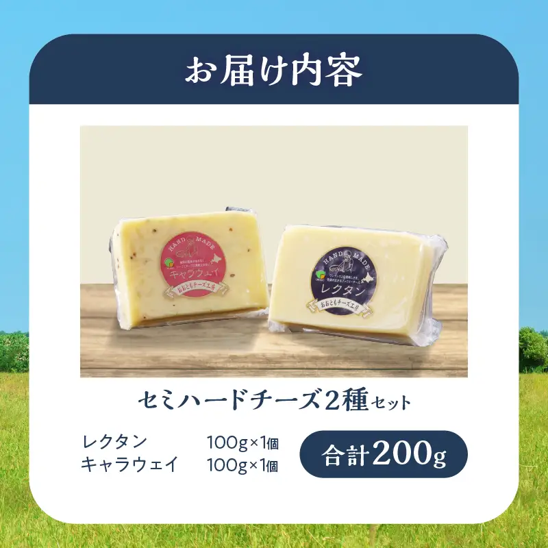 【おおともチーズ工房】セミハードチーズ2種セット(キャラウェイ・レクタン)_H0003-113