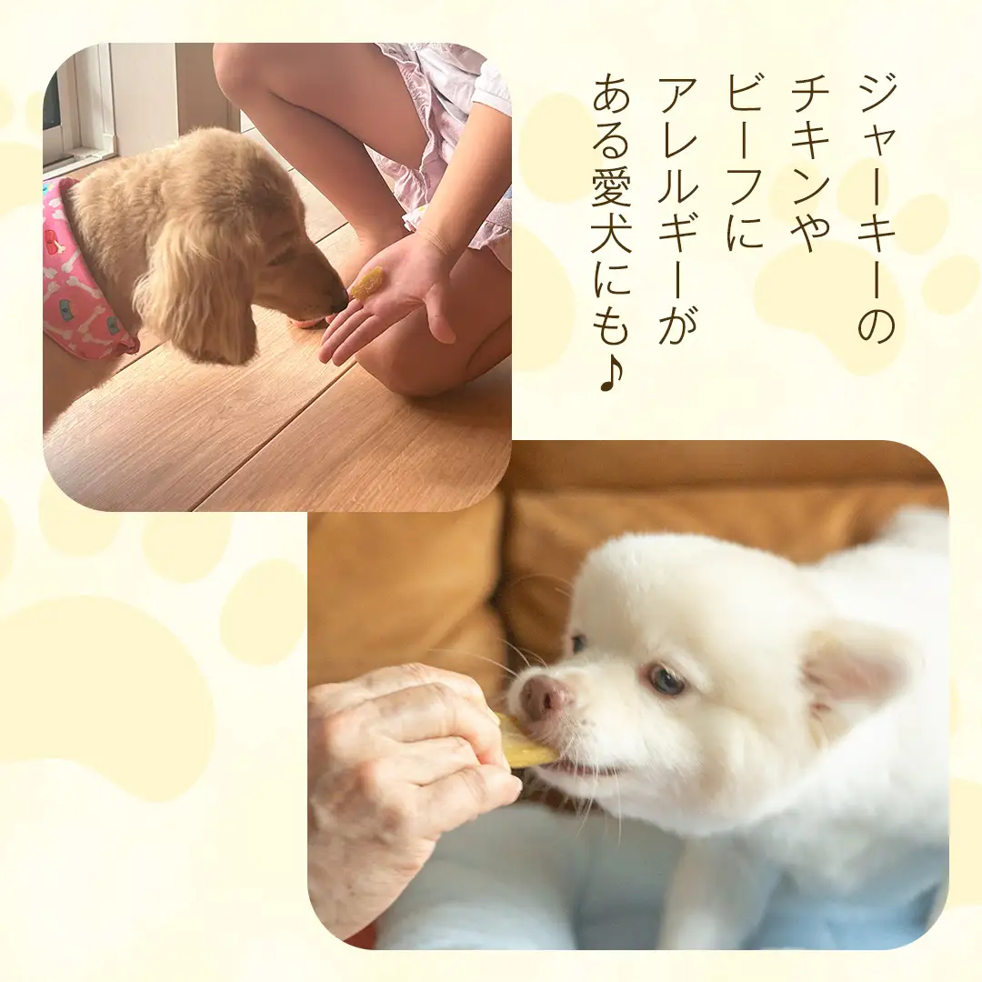 犬 の おやつ 干し芋 シロタ ( 100g × 8袋 ) 国産 手作り さつまいも 芋 お菓子 小分け 個包装 少量 栄養 食物繊維 噛みごたえ ドッグフード わんちゃん わんこ ペット ペットフード マツコの知らない世界 [EE017sa]	
