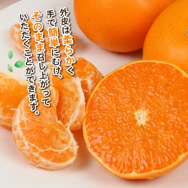 せとか 4kg Shirai.agrifarm せとか B020-115006