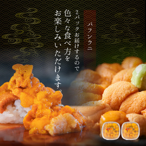 【2027年夏発送】塩水ウニ【バフンウニ】 100g×2パック 計200g 北海道余市町産 塩水ウニ発祥の地 高級ウニ 高級雲丹 バフンウニ 赤うに 目利き 北海道産ウニ 余市産ウニ 雲丹 うに 塩水うに_Y037-0360
