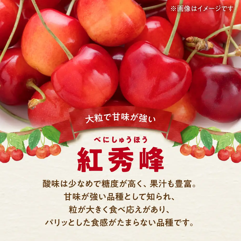 【先行予約：2027年初夏発送】さくらんぼ 毎年大好評！こだわりの東谷農園 余市産 さくらんぼ 1kg_Y037-0347
