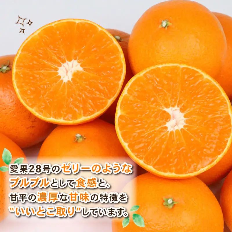【先行受付】【新品種】甘平×まどんな 4kg「紅プリンセス」と同品種 愛媛果試48 みかん【B030-115007】【Shirai.agrifarm】 M～3L
