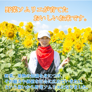 定期便 3回 コシヒカリ 無洗米 10kg 令和6年産 米 こめ ご飯 ごはん おにぎり 精米 無洗米 卵かけご飯 食品 備蓄 備蓄米 保存 防災 ギフト 贈答 プレゼント お取り寄せ グルメ 送料無料 徳島県 阿波市 須見商店