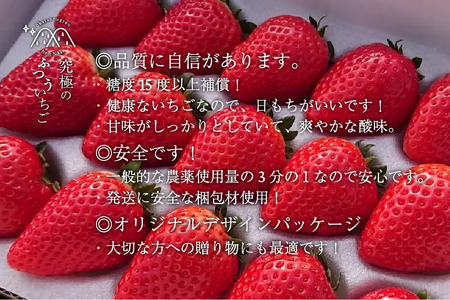 [先行予約]「究極のふつういちご」厳選大粒とちあいか 30粒入り＋いちご狩りペアご招待券 [2026年12月中旬より順次発送]  [0649]