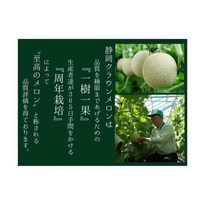 メロン クラウン 白等級 特大玉 1玉入 果物 メロン