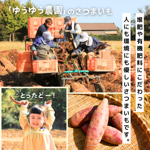 【訳あり】無選別+土付きのさつまいも(紅はるか)10kg | さつまいも さつまいも さつまいも さつまいも さつまいも