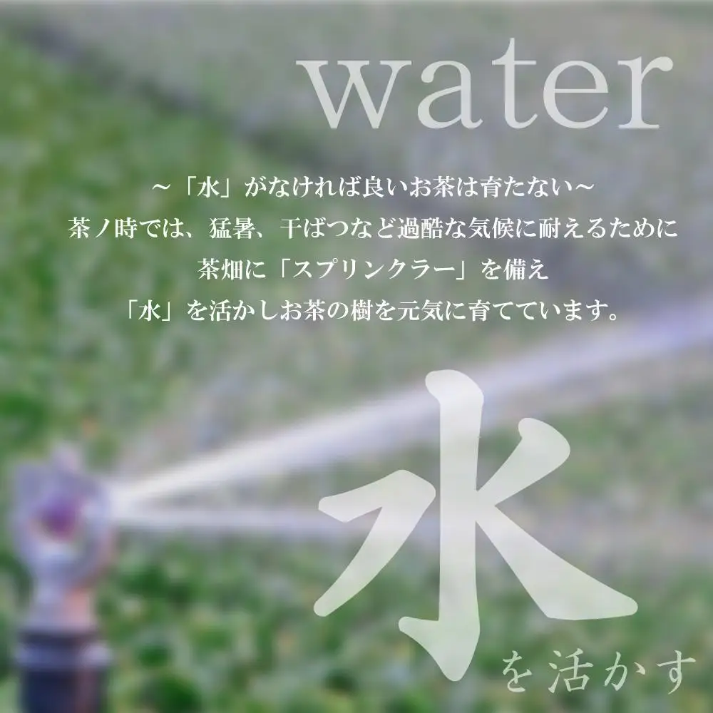 原田茶園 八女茶パウダー 160g(80g×2袋)【八女茶】
