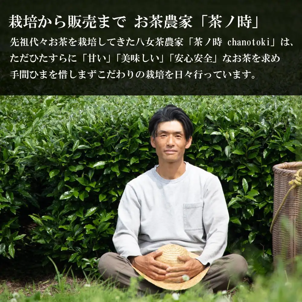 原田茶園 和紅茶ティーバッグ 和日 2袋(56g/14包)【八女茶】