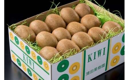 体が喜ぶ☆キウイフルーツ定期便３回コース 定期便 ３回 ２０～３２個 ３.４kg～４kg ヘイワード ヘイワードキウイ キウイフルーツ キウイ フルーツ くだもの 果物 ミネラル豊富 太良町 国産 浦田農園 Q44x1 【2027年1月上旬～3月上旬発送予定】
