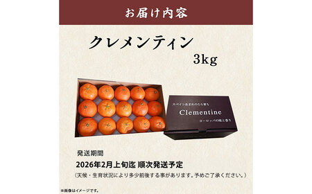 スペイン生まれのたら育ちクレメンティン 3kg クレメンティン みかん 柑橘 国産 オレンジ マンダリン 希少 ジューシー 佐賀県 太良町 M85x1 【2026年12月上旬～2027年1月上旬発送予定】