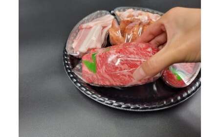 O-159 ギフトにも使える 佐賀牛・田嶋畜産のウインナー・ありたどりの焼肉セット 佐賀牛 田嶋畜産の粗挽きウインナー ありたどり 焼肉 セット ご自宅用   ギフト 食べきりサイズ 保存しやすい 小分けトレイ 2人前 3人前 パーティ おせち 母の日 父の日  誕生日 お中元 お歳暮 ちょっと贅沢