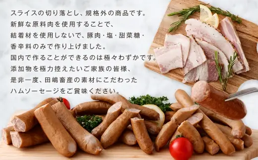 T-22x1 N35C 訳あり HOMARE（ほまれ）ハム・ソーセージ（家庭用）10パック 10回発送 ハム ソーセージ ウインナー 訳アリ 規格外 定期便 冷凍便 人気 シャルキュティエ田嶋 太良町 国産