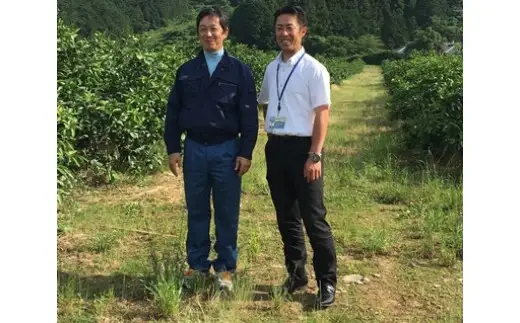 N231x1 かねひろの黒酢みかんゼリー（12個入り）