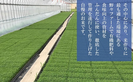 【令和8年産 新米】 特別栽培米ササニシキ 精米 10kg （10kg ×1袋） 山形県庄内産 野々ファーム 
