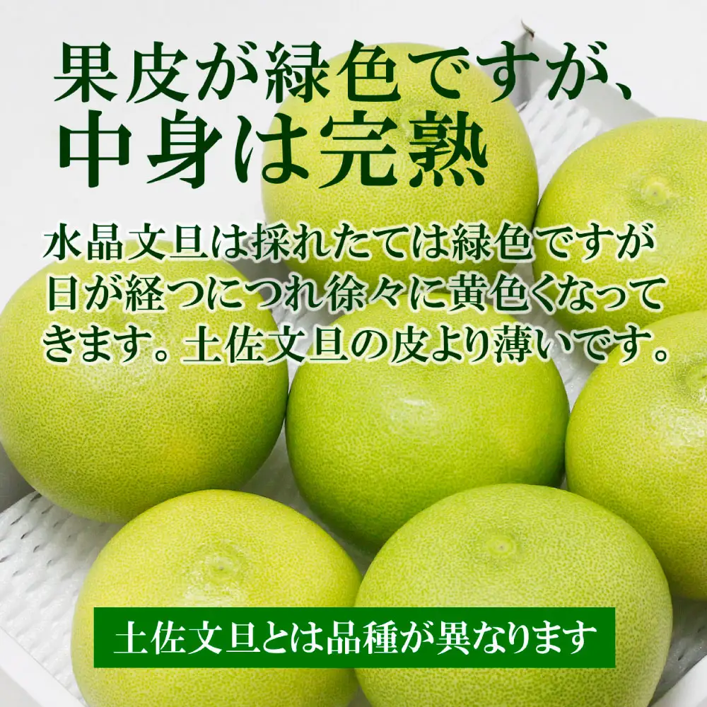 【先行予約】高知県産水晶文旦 特選ご贈答用 2Lサイズ 3個入り〈2026年10月上旬?11月上旬頃発送〉  /  ぶんたん ブンタン 水晶文旦 果物 柑橘 フルーツ お取り寄せ 特産品 おいしい【白木果樹園】[BQAI017]