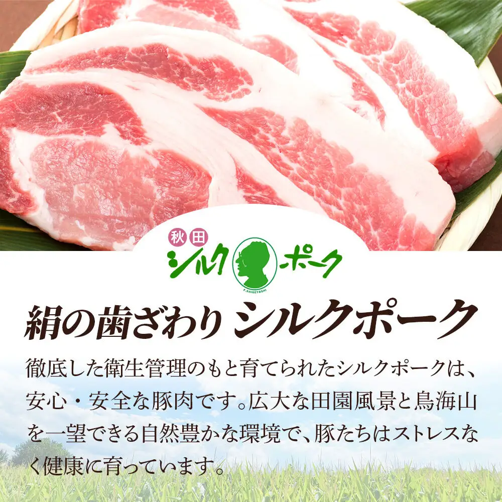 シルクポークバラエティーセット(ロース100g×2・肩ロースしゃぶしゃぶ用200g×1・バラしゃぶしゃぶ用200g×1・カタ切落し200g×2・角切り200g×1・ひき肉200g×2)