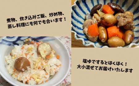 スーパーフード 糖度30度あま～いアピオス(生)1kg