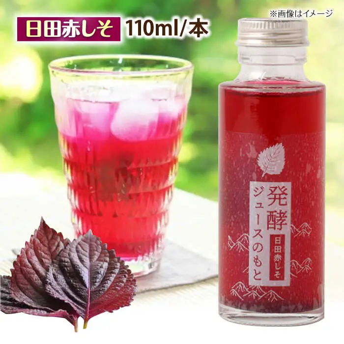 発酵ジュースのもと 飲み比べ5本セット〈かぼす・ゆず・赤しそ・うめ・すもも〉ジュース 飲み比べ ギフト 果実飲料[ARDA006]