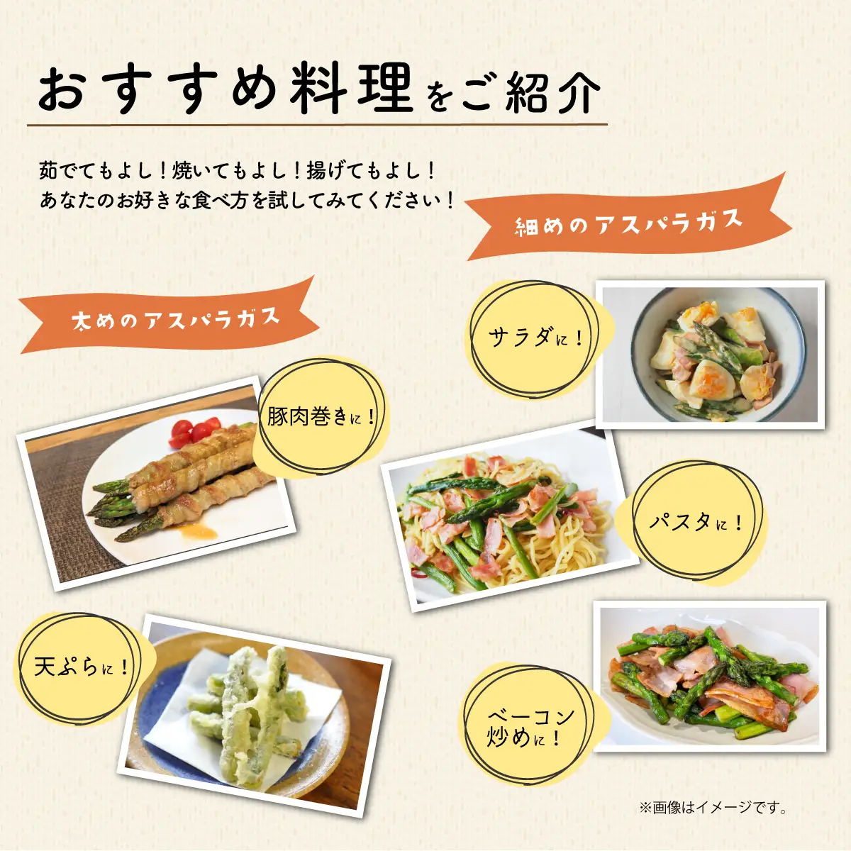 アスパラガス 1kg M～Lサイズ 朝採り アスパラガス 夏芽【先行受付】【26年6月中旬～9月発送】