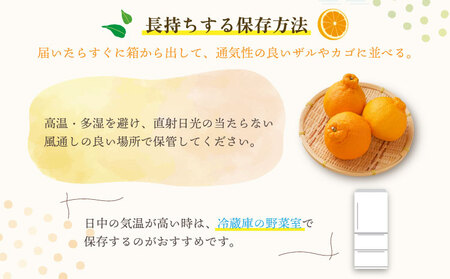 先行予約 不知火 あーちゃん家の不知火 5kg 【2027年4月上旬-5月下旬発送予定】